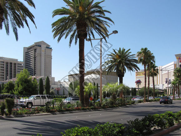 Вид на отели Лас-Вегаса, США (Las Vegas, USA)